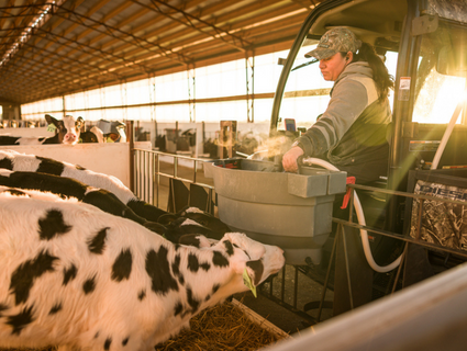 Dairy Applied Nutrition