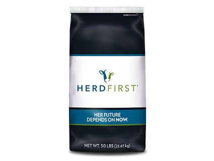 HerdFirst Developer bag HerdFirst Developer bag