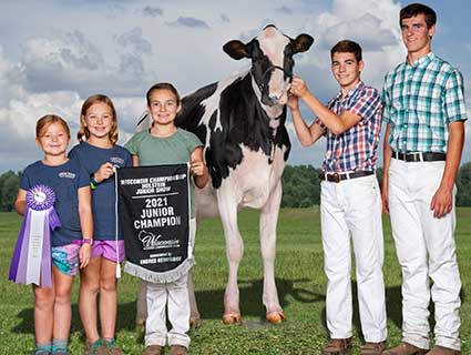 HerdFirst Show feeds pak bag image HerdFirst Show feeds pak bag image