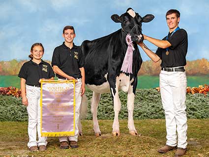 HerdFirst Show Ready bag image HerdFirst Show Ready bag image