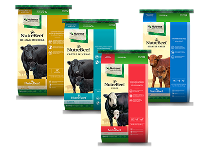 NutreBeef 4x bags