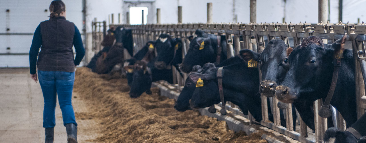 hero robotic feeding tables