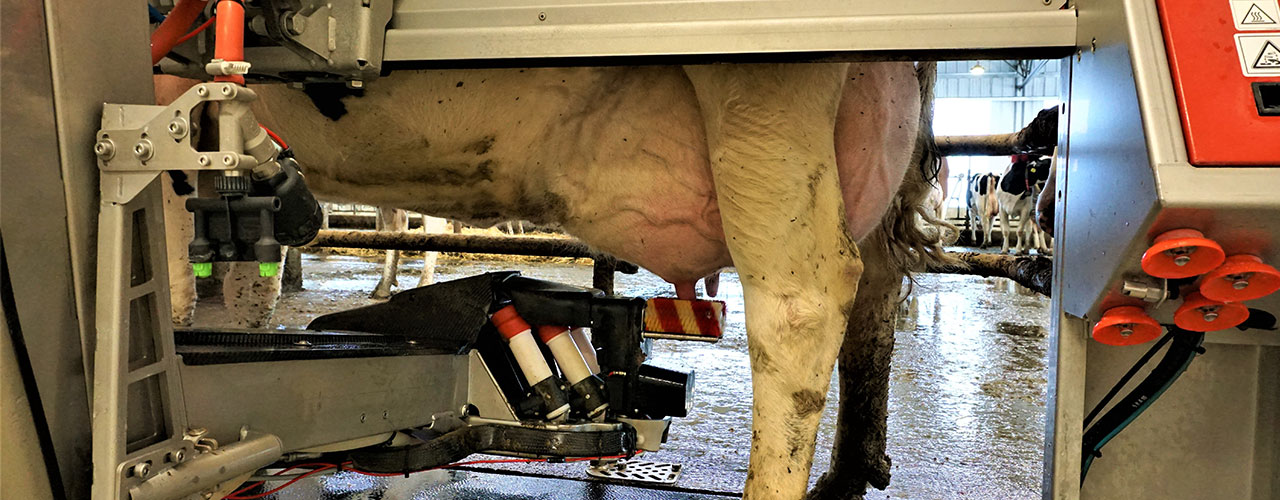 Cargill Dairy Dreams Getting it Right when Balancing Partial Mixed