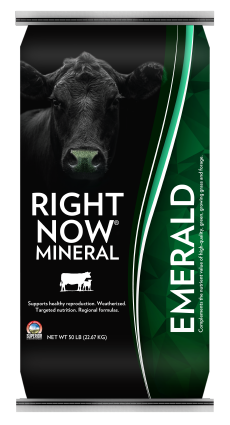 Right Now Mineral Emerald product bag