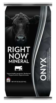 Right Now Mineral Onyx product bag