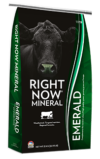 Right Now Emerald bag image 