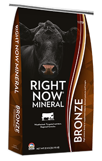 Right Now Mineral Bronze
