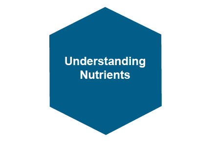 Understanding Nutrients