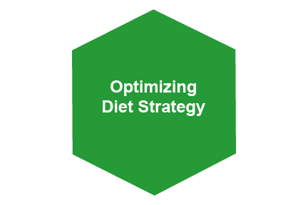 Optimizing Diet Strategy