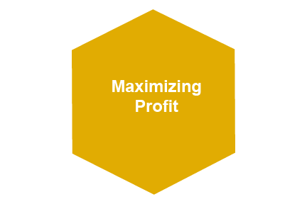 MaximizingProfit