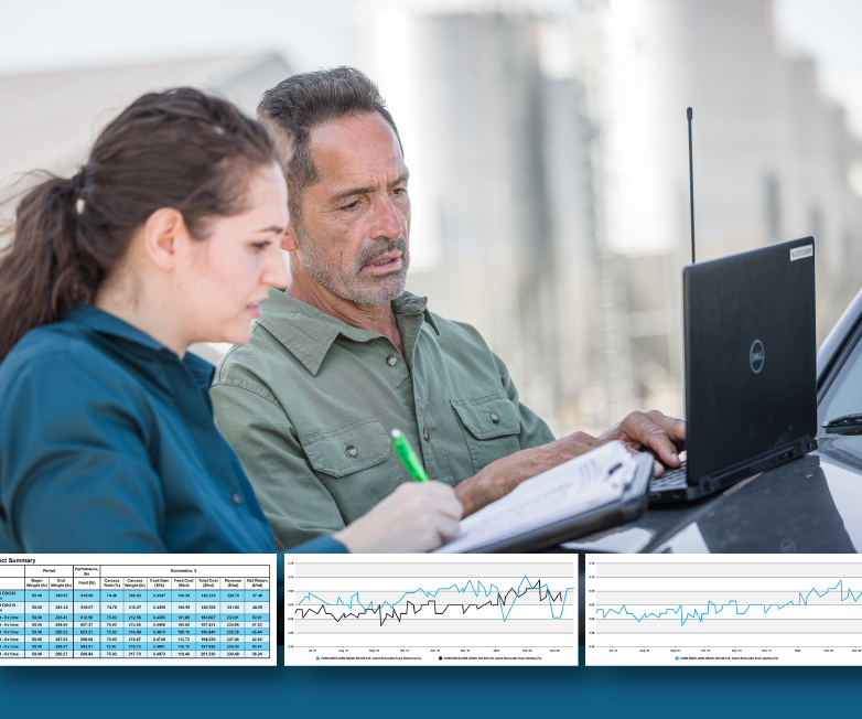 CNC Preview Image CNC Preview Image