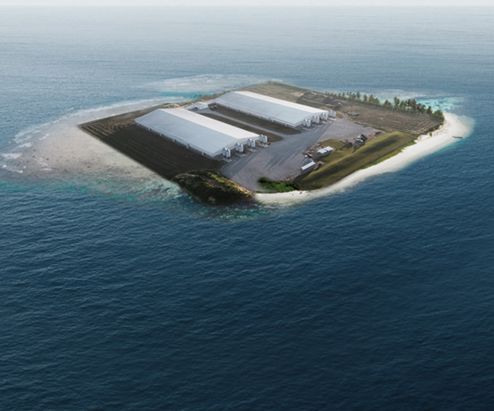 Swine production on island Swine production on island