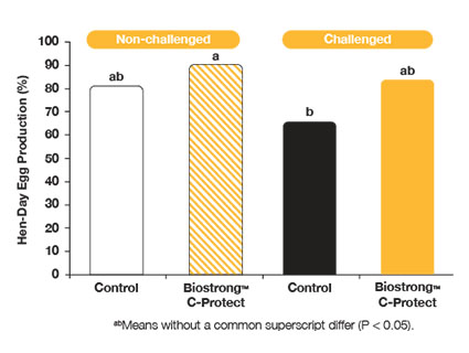 Biostrong Cap Biostrong C-Protect | Animal Nutrition - United States