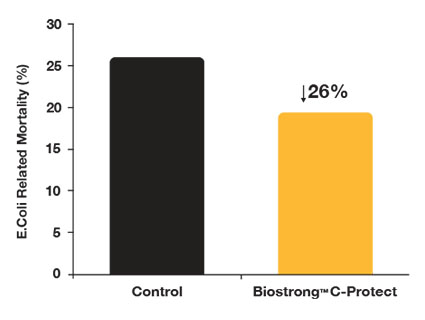 Biostrong Biostrong C-Protect | Animal Nutrition - United States