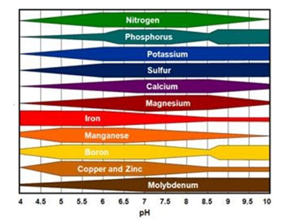 Magnesium chart