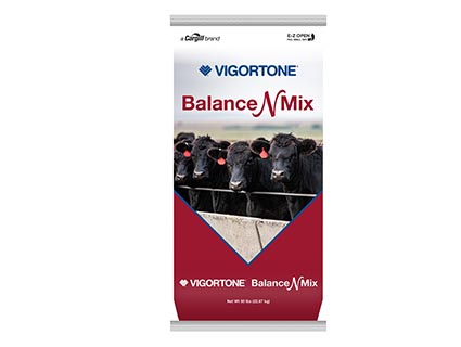 BlogPreview_BalanceNMix_425x320