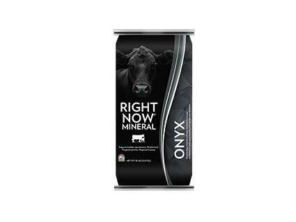 Right Now Onyx Mineral