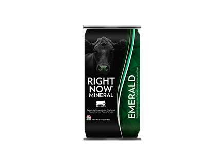 Right Now Emerald Mineral