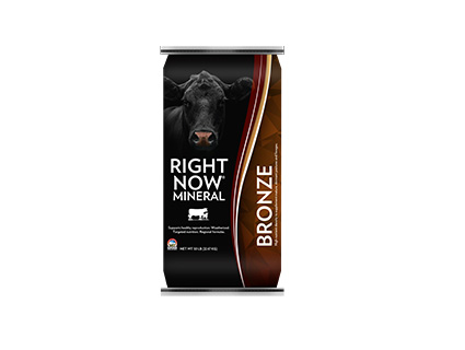Right Now Bronze Mineral
