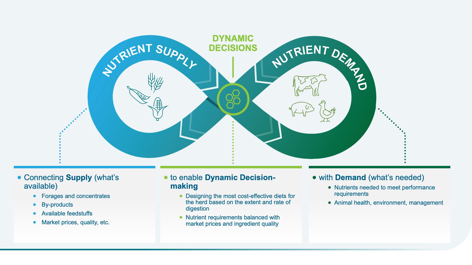 Nutrient supply and nutrient demand system