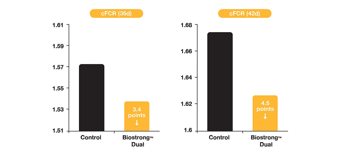 Poultry Biostrong Dual FCR Graph Image