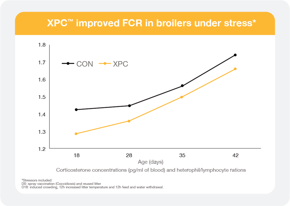 Poultry Biostrong XPC Graph Image